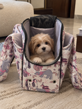Load image into Gallery viewer, Coccopucci Nido Pet Carrier — Bosco Alpino
