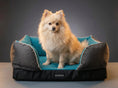 Load image into Gallery viewer, Coccopucci Riposso Ultra Orthopedic bed