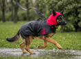 Load image into Gallery viewer, Coccopucci Tempesta 3 In 1 (Raincot+Harness+Jacket)
