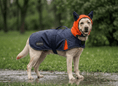 Load image into Gallery viewer, Coccopucci Tempesta 3 In 1 (Raincot+Harness+Jacket)