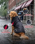 Load image into Gallery viewer, Coccopucci Tempesta 3 In 1 (Raincot+Harness+Jacket)