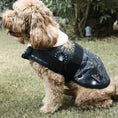 Load image into Gallery viewer, Coccopucci Cosmic Print Dog Jacket - COCCOPUCCI