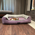 Load image into Gallery viewer, Coccopucci Lilac Haze Pebble Orthopedic Dog Bed