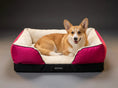 Load image into Gallery viewer, Coccopucci Peony Riposso Orthopedic Dog Bed