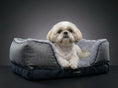 Load image into Gallery viewer, Coccopucci Gun metal Riposso Dog Bed