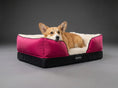 Load image into Gallery viewer, Coccopucci Peony Riposso Orthopedic Dog Bed