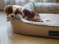 Load image into Gallery viewer, Coccopucci Dessert Cloud Orthopedic Dog Bed