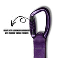 Load image into Gallery viewer, Coccopucci Sentinel Amethyst Dog Leash