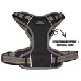 Load image into Gallery viewer, Coccopucci Signature Black Magic Dog Harness