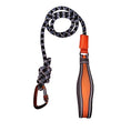 Load image into Gallery viewer, Coccopucci Monarch Pheonix Dog Leash