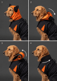 Load image into Gallery viewer, Coccopucci Tempesta 3 In 1 (Raincot+Harness+Jacket)