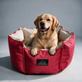 Load image into Gallery viewer, Coccopucci Hot Pink Crown Dog Bed