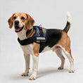 Load image into Gallery viewer, Coccopucci Comfsecure Dog Harness (Strange Wheel)