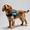 Load image into Gallery viewer, Coccopucci Comfsecure Dog Harness (Cyber Pup)