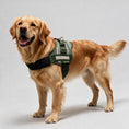 Load image into Gallery viewer, Coccopucci Comfsecure Dog Harness (Riviera Stripe)
