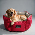 Load image into Gallery viewer, Coccopucci Hot Pink Crown Dog Bed