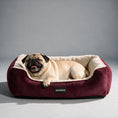 Load image into Gallery viewer, Coccopucci Garnet Doppio Dog Bed