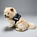 Load image into Gallery viewer, Coccopucci Comfsecure Dog Harness (Fragmented Flow)