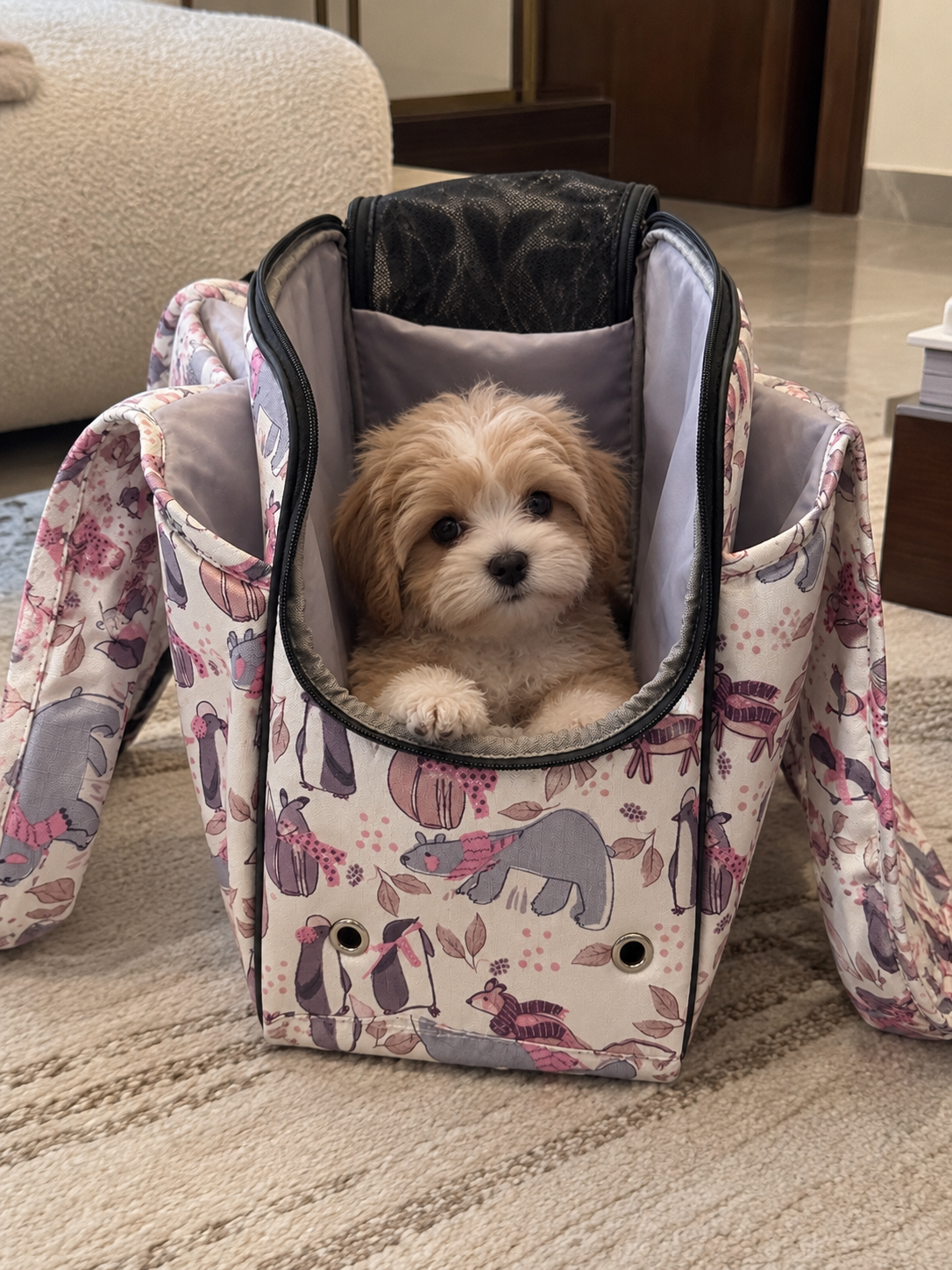 Coccopucci Nido Pet Carrier — Bosco Alpino