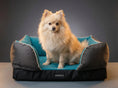 Load image into Gallery viewer, Coccopucci Riposso Ultra Orthopedic bed
