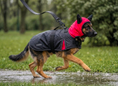 Load image into Gallery viewer, Coccopucci  Tempesta Raincot Harness
