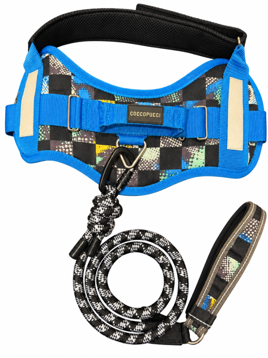 Carnevale ComfSecure Harness & Leash Set