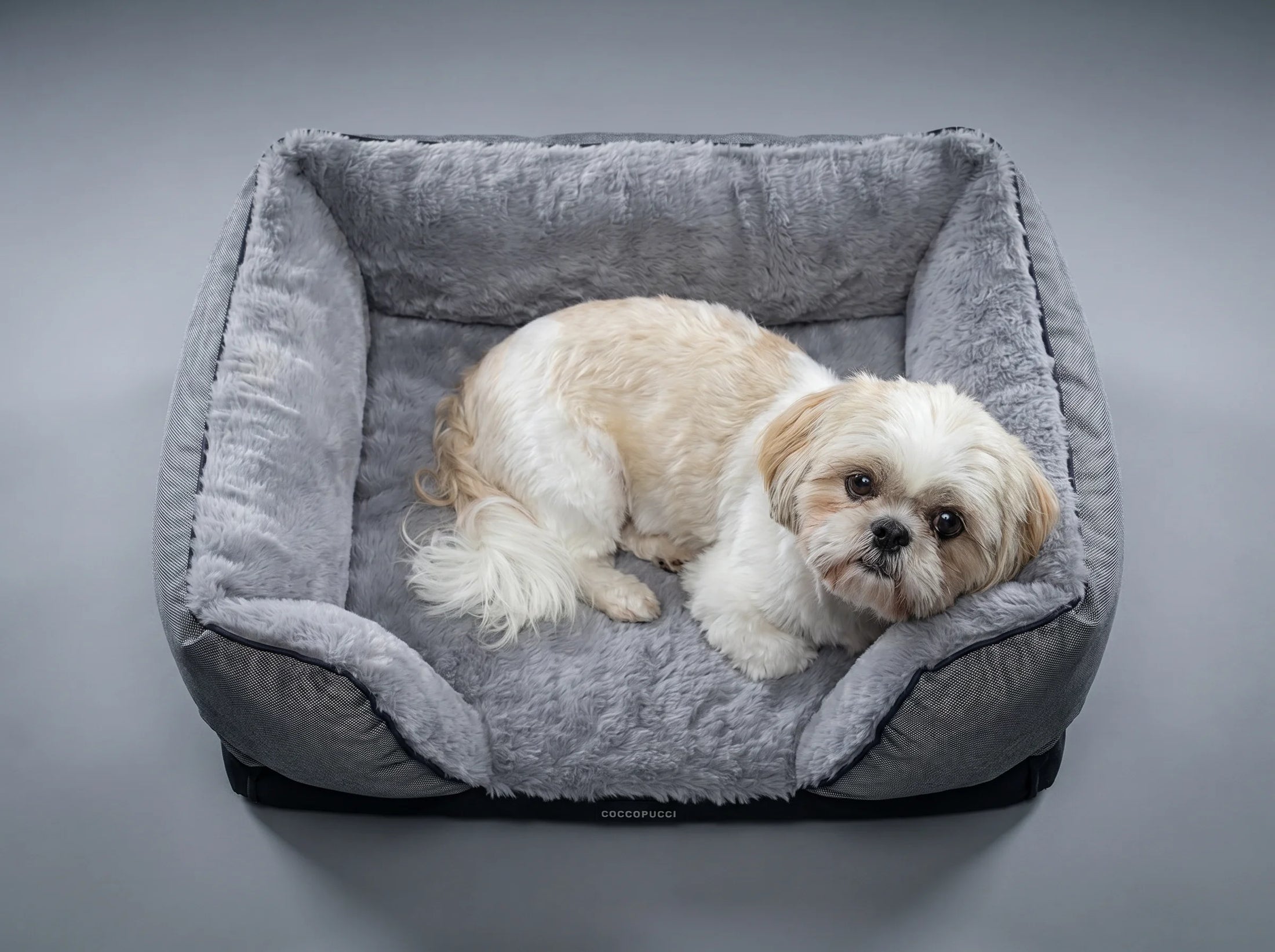 Coccopucci Gun metal Riposso Dog Bed