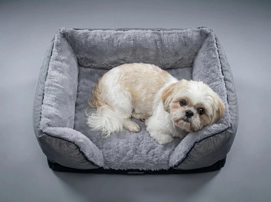 Coccopucci Gun metal Riposso Dog Bed