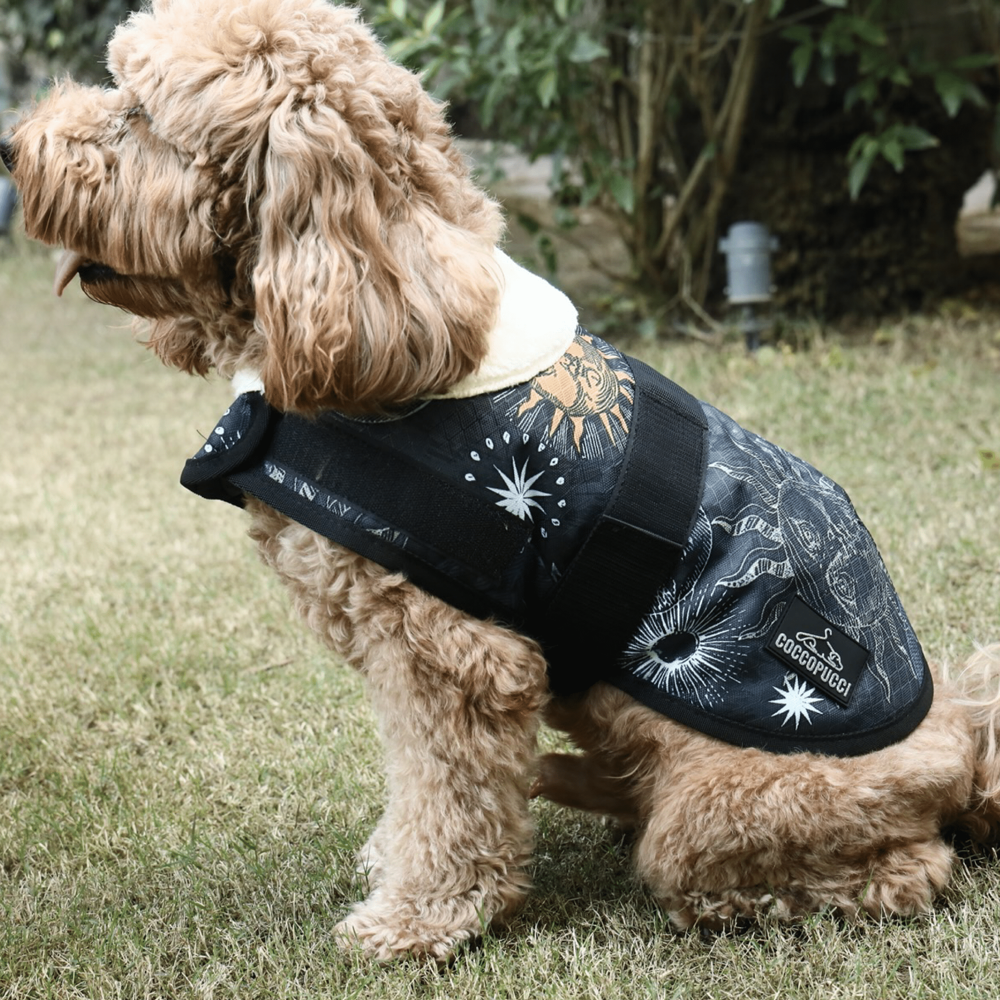 Coccopucci Cosmic Print Dog Jacket - COCCOPUCCI