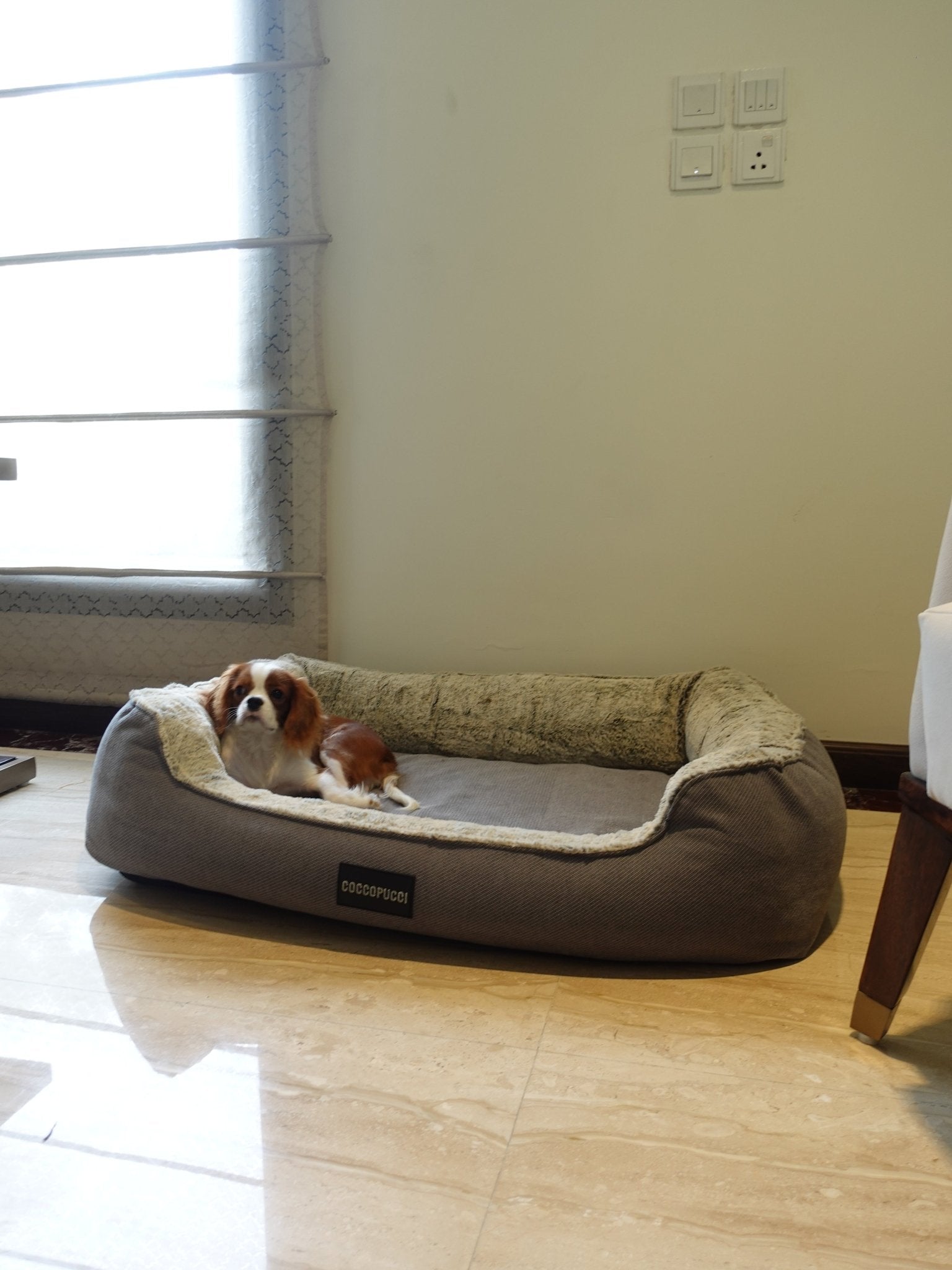 Coccopucci Grey Whisper Orthopedic Dog Bed