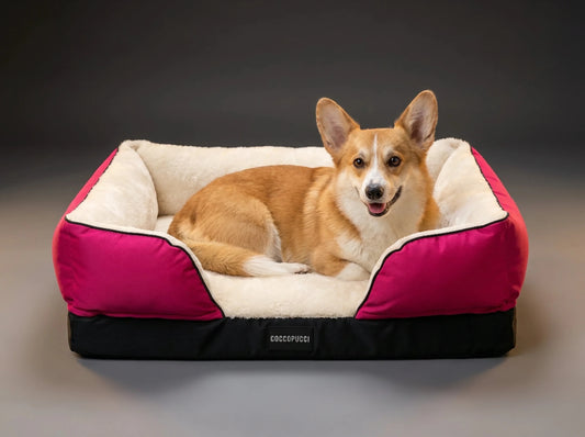 Coccopucci Peony Riposso Orthopedic Dog Bed