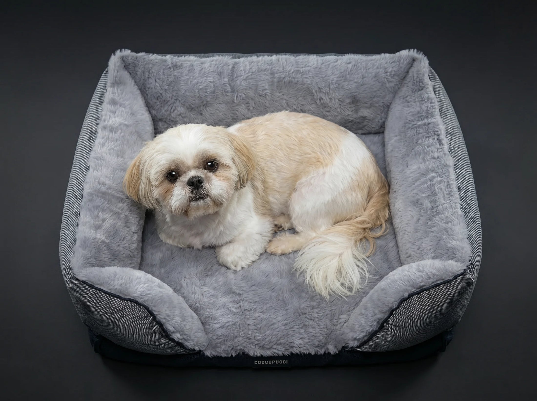 Coccopucci Gun metal Riposso Dog Bed