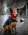 Load image into Gallery viewer, Coccopucci Tempesta  3 In 1 (Raincot+Harness+Jacket)
