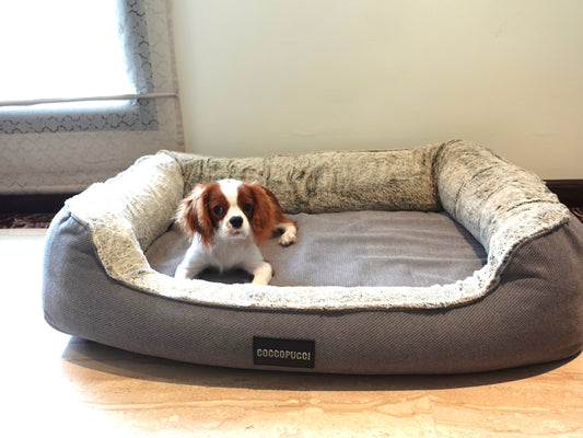 Coccopucci Grey Whisper Orthopedic Dog Bed