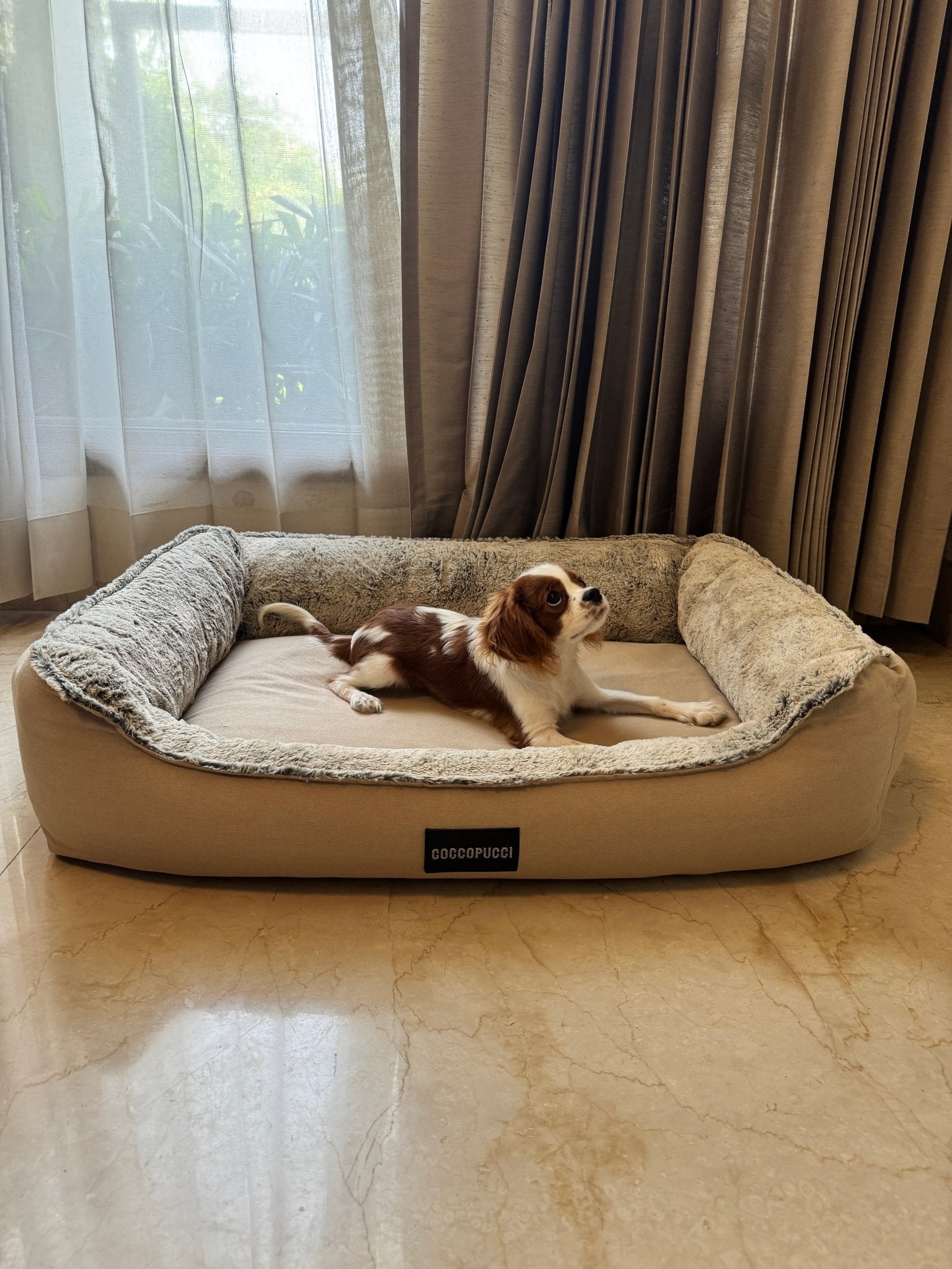 Coccopucci Dessert Cloud Orthopedic Dog Bed