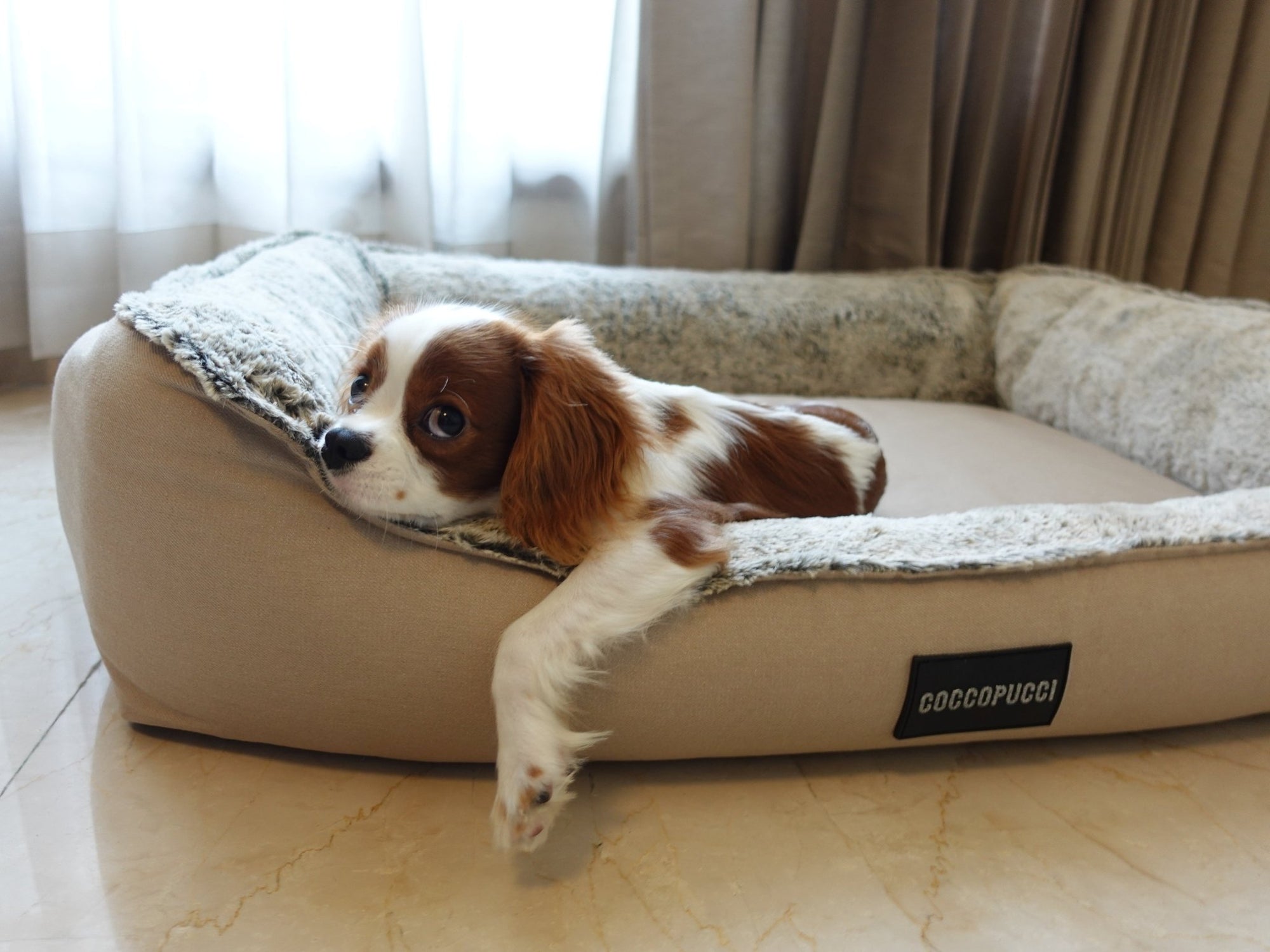 Ultra-Lux Orthopaedic Dog beds