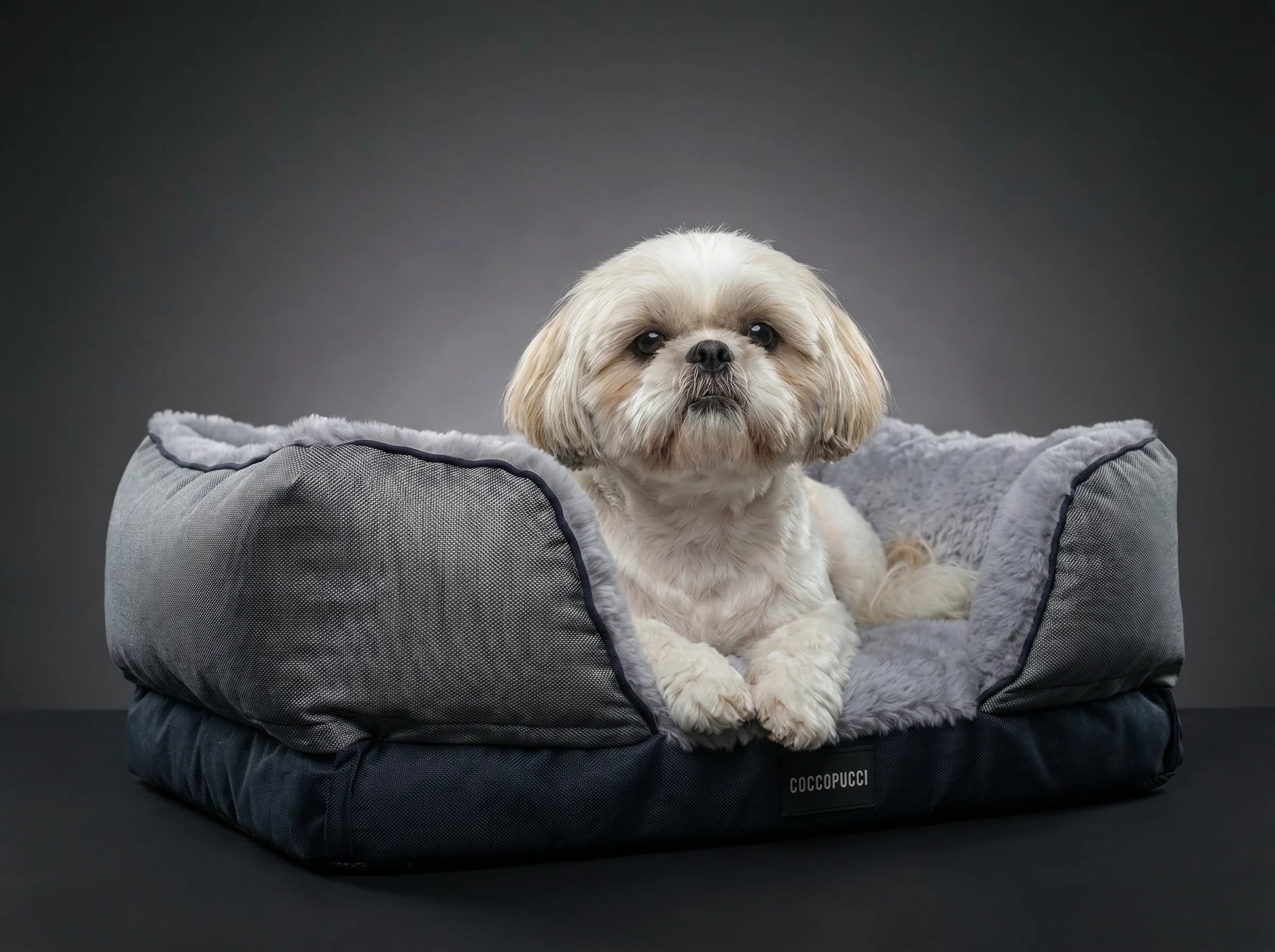 Coccopucci Gun metal Riposso Dog Bed