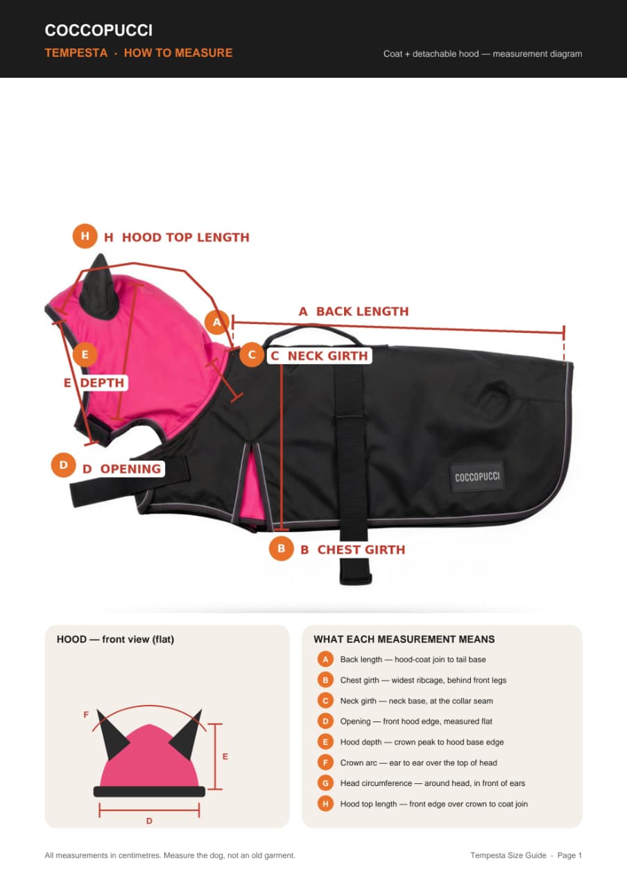 Coccopucci Tempesta  3 In 1 (Raincot+Harness+Jacket)