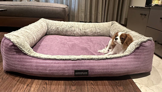 Coccopucci Lilac Haze Pebble Orthopedic Dog Bed