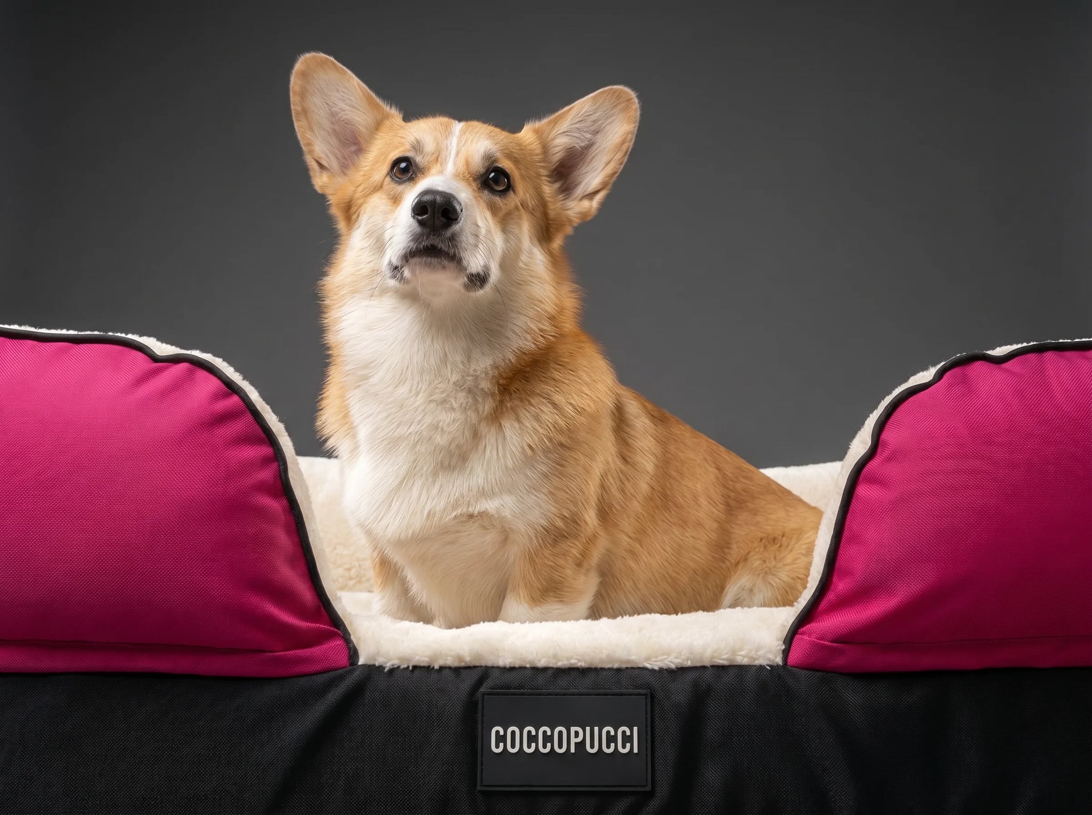 Coccopucci Peony Riposso Orthopedic Dog Bed