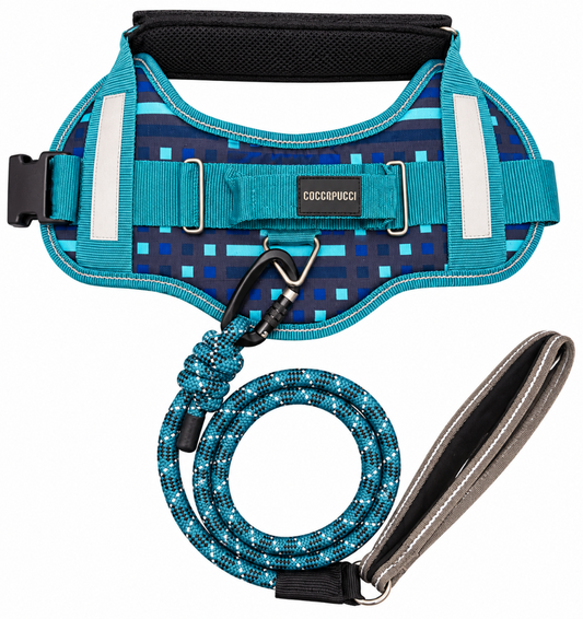 Cyber Pup ComfSecure Harness & Leash Set