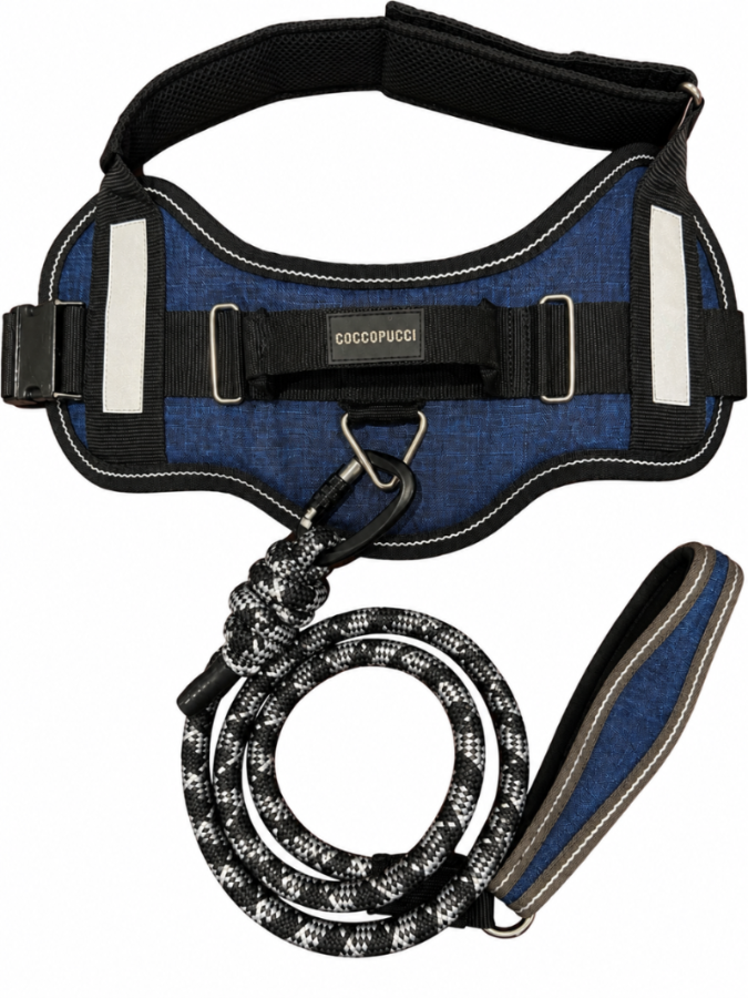Genova Denim ComfSecure Harness & Leash Set
