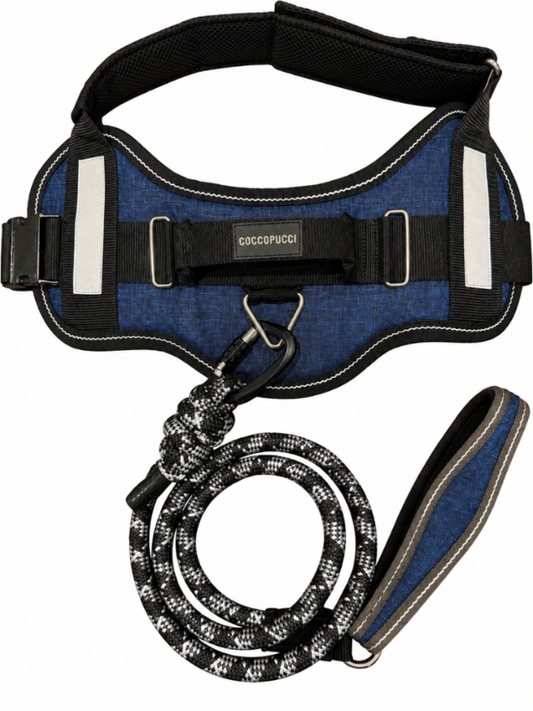 Genova Denim ComfSecure Harness & Leash Set