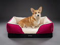 Load image into Gallery viewer, Coccopucci Peony Riposso Orthopedic Dog Bed
