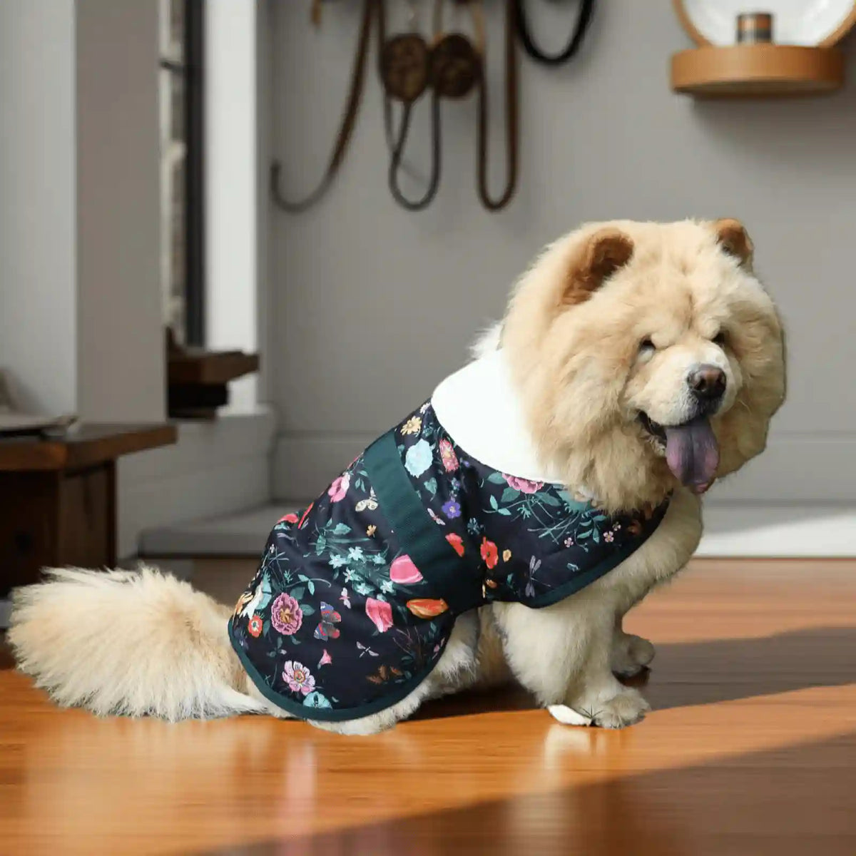 Coccopucci Flora Green Print Dog Jacket - COCCOPUCCI