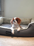Load image into Gallery viewer, Coccopucci Grey Whisper Orthopedic Dog Bed
