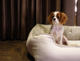 Load image into Gallery viewer, Coccopucci Pearl white Orthopedic Dog Bed
