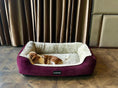 Load image into Gallery viewer, Coccopucci Bordeaux Orthopedic Dog Bed
