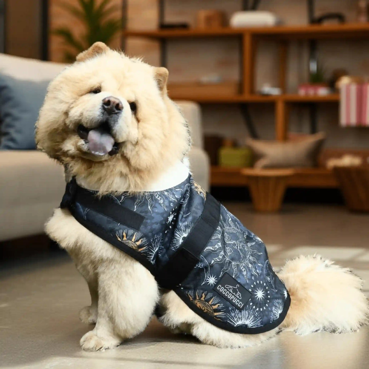 Coccopucci Cosmic Print Dog Jacket - COCCOPUCCI