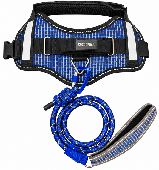 Fragmented Flow ComfSecure Harness & Leash Set